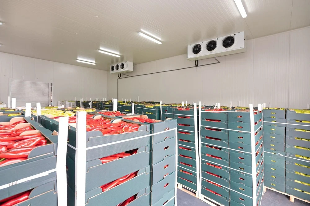 2 MT MS Portable Cold Storage Container, 10 Ton